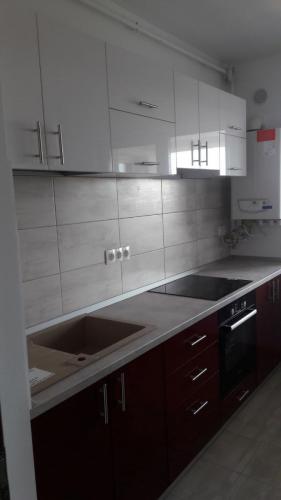 BUCATARIE OANA COD 5571